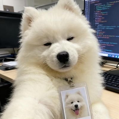 aiwakwong's profile picture. Trader ที่แวะติ่ง #lingorm  คีพคู่ อยู่ดึกๆ ไม่ชอบดราม่า แต่เสือกได้
ชอบก็รีไปเรื่อยๆ เป็นเคะงับ ไม่ใช่เมะ no no no (-/\ -) 

อะไรผิดพลาด ทัก ib พร้อมรับฟังงับ