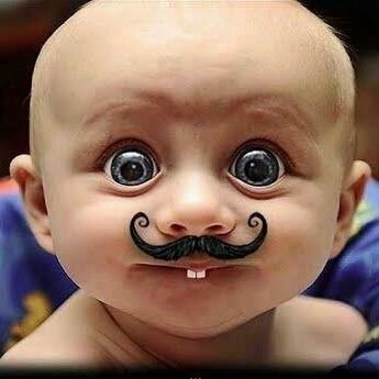 SunilSu93827705's profile picture. मेरे माता पिता मेरे भगवान है।🌹🌹🌹🌹