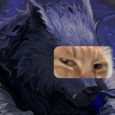 @Novil1998
