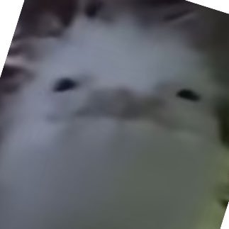 🪼さんのプロフィール画像
