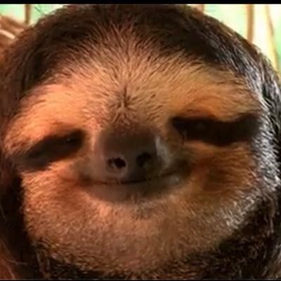 Teddy6692060571's profile picture. 