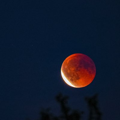 LostinCrypto's profile picture. DYOR, HODL and learn, beware of scams and never invest more than you can afford to lose.