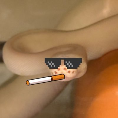 KARUKIYOSHI's profile picture. GGST zato-1 スロ垢 大学生