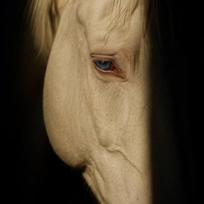 h7_5az's profile picture. 