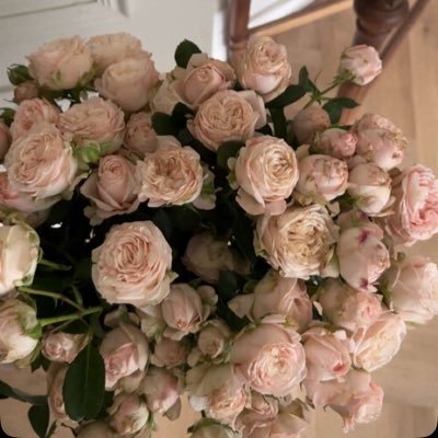 remaaamoo's profile picture. 