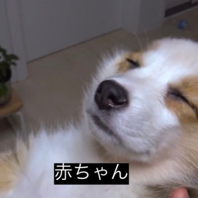 infinitesimal_n's profile picture. ゲームエンジンの仕事したり政府のデジタルプロジェクトしたり退職したり個人でゲーム動画作ったりゲーム自体作ったりアニメ見たり、そういうのをインフィニテシマルにアウトプットするアカウント。