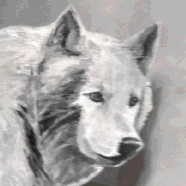 1100さんのプロフィール画像