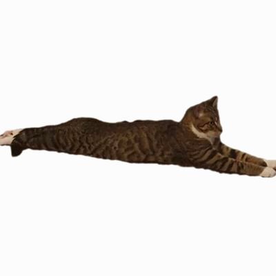 kzekkezga's profile picture. best version of myself