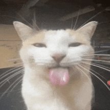 j7hrs's profile picture. i make stuff