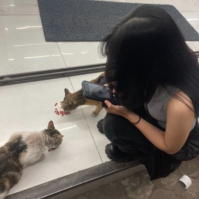 sizheeny's profile picture. sbt, fangirling, priv acc