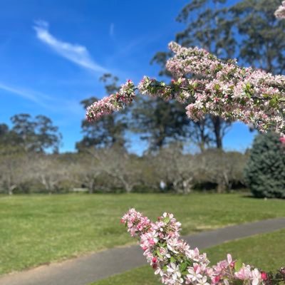 abo_omar29's profile picture. مهندس ميكانيكي، خريج جامعة الملك فهد وجامعة ملبورن. يعمل في مركز الأقمار الصناعية في مدينة الملك عبدالعزيز للعلوم والتقنية.