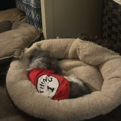 madu_genes985's profile picture. I am still the happiest person I know📌📌.                       
                  Manchester United ❤️