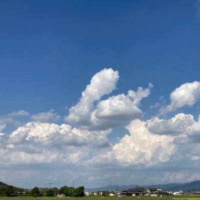 12sanseitou's profile picture. 世論を変え、政治を変え、日本国を守りたい