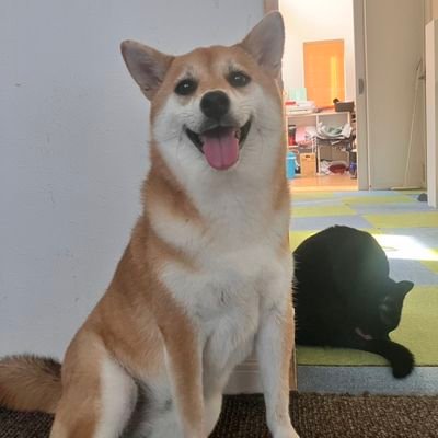 秀さんのプロフィール画像