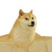 jiaopizio's profile picture. 可恶 不要小瞧我们之间的羁绊 关注脚皮发大财 //🚪188/520/888/1314➕v询价线下//合作寄拍发口令