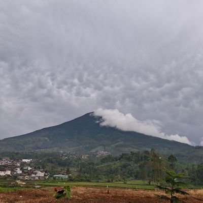 miwnir's profile picture. web forever