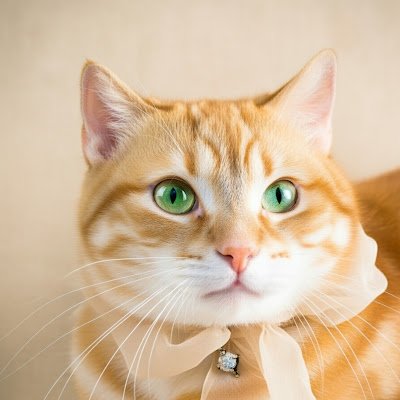 NunoSeth2025's profile picture. 