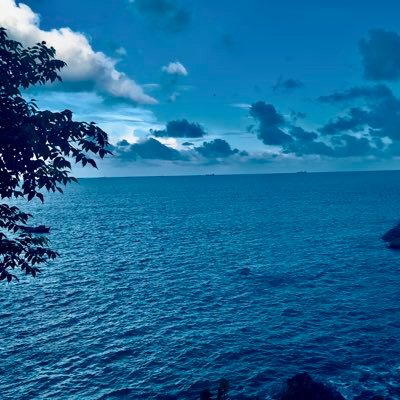 Zinpyy19's profile picture. ONLY LOVE 💕BECKYFREEN :🤍)
ONLY TRUST FREENBECKY
🪽ALL FOR FREENBECKY🪽
#ฟรีนเบค #FreenBecky
🪽🌷ANGEL’S TULIP🌷🪽
《Fan Account》