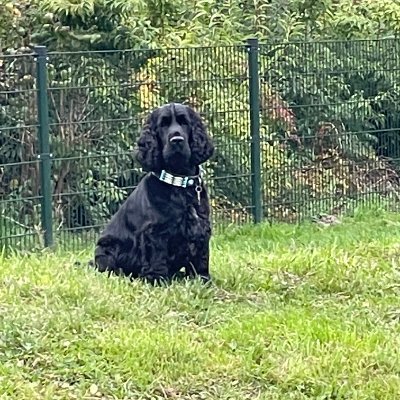 Calvin20032019's profile picture. Always busy