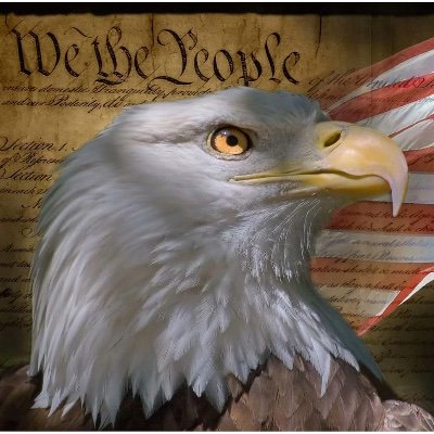 ShawnTo50354308's profile picture. 