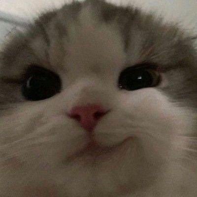 kizginliktayim's profile picture. hated, adored but never ignored