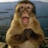 hubiibi's profile picture. zoolog
