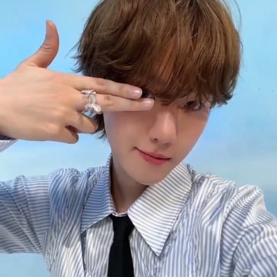 lightsisbbh's profile picture. ∴∵∴ ୨୧ ∴∵∴ 천재 강아지 의팬 ∴∵∴ ୨୧ ∴∵∴