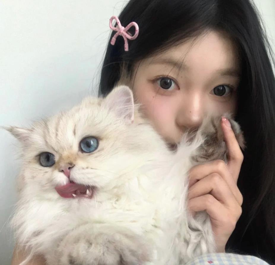 MHirthe689's profile picture. 게임할 땐 장난도 많고, 은근 경쟁심도 있어요.