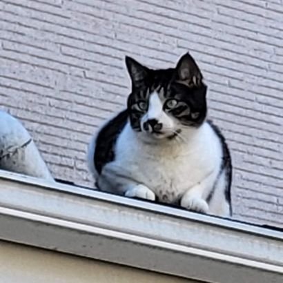 wHgPTa8O7bRkqUd's profile picture. 