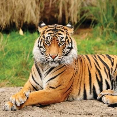 ShadowXXXL's profile picture. 안녕하세요, 저는 30세, 키 197cm, 몸무게 100kg--(20cm)--의 건장한 체격을 가진 전문 마사지 치료사입니다. 편하게 DM 주세요.