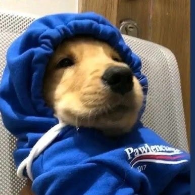 Sathvikaa317's profile picture. 