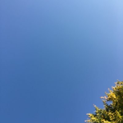 ryouy2543's profile picture. 