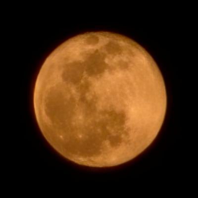 Lavine1727's profile picture. Trench warrior
.
.
Give an update and list for new or hot meta🔥
.
.
KEEP TRENCHING!