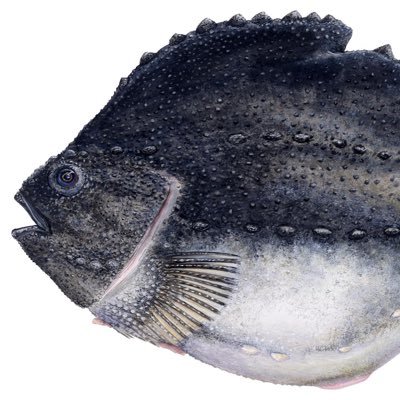 nnonarch's profile picture. ✝️Christian |👨Father |🇺🇸Love my country | 🩷 Safespace |