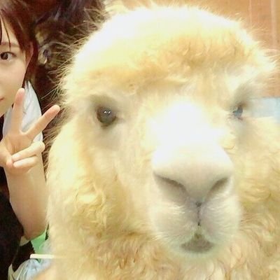 abcdeene12's profile picture. 구독 실례합니다🥹 無言フォロー失礼します🙏
주머니에니우개