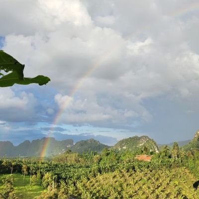 nicol9498's profile picture. 