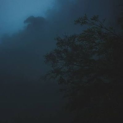 muhammad_ummair's profile picture. Pharmacist