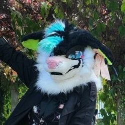 Cary 🔜 NFC26さんのプロフィール画像