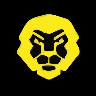 lionreachmedia's profile picture. B2B Lead Generation Agency #b2bmarketing #leadgeneration