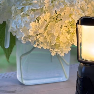 keioaki75's profile picture. 79期秋入学（2025.10）/文3/ 特別課程 🍂一度目挫折組/英会話教室主宰/ワーママ/無言フォロー失礼します