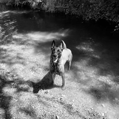 kkarmendv_'s profile picture. para ser xula tienes k presumir de lo k vales sin pisar a nadie, si lo haces ni eres xula ni vales na !!!