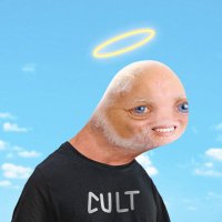 primo (new account) (@primoderp) 's Twitter Profile Photo