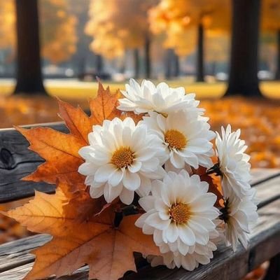 Elif37979778409's profile picture. https://t.co/g6ZRPN8PaQ