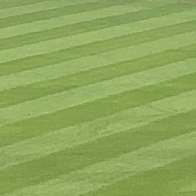 mori_kuma11san's profile picture. 