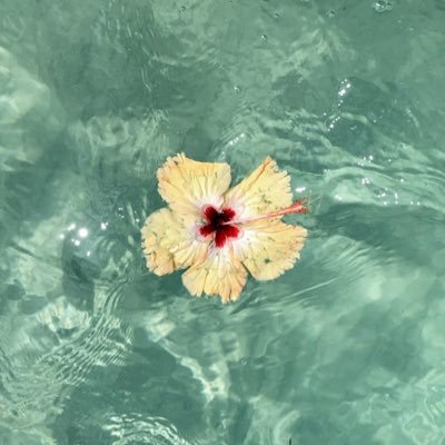 cryingwithmay's profile picture. 