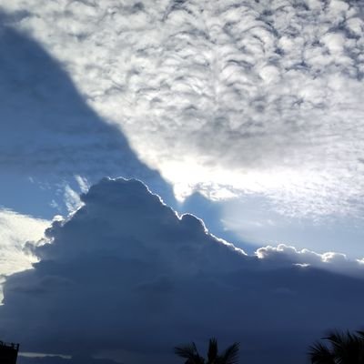 harshal0904's profile picture. 