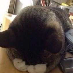 bubuuqy's profile picture. 