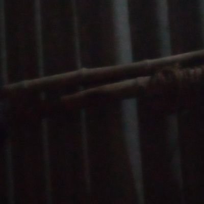 nisha315442's profile picture. 