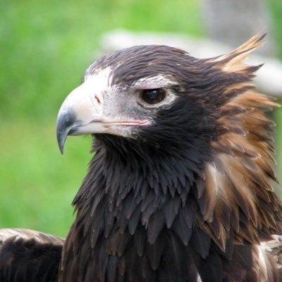AndryRandTrades's profile picture. 