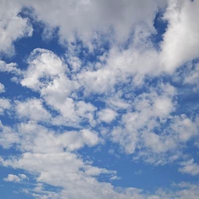 tmtmcaaaao's profile picture. 